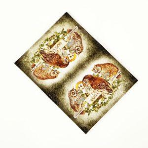 Обложка для 2-х карточек с принтом Eshemoda “Совы играют в покер”, натуральная кожа