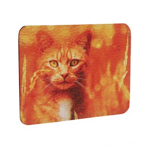 Кардхолдер с принтом Eshemoda “Рыжий кот”, натуральная кожа, цвет коричневый